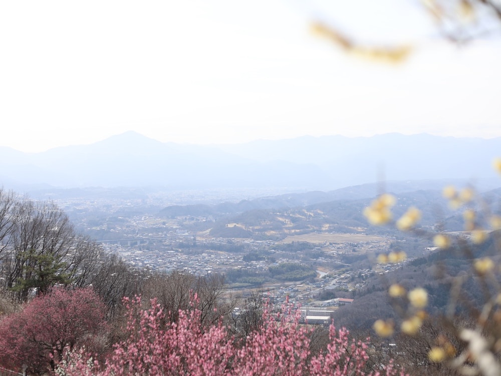 春告げる長瀞をほがらかハイク｜春の低山歩きに最適ギア5つをレビュー