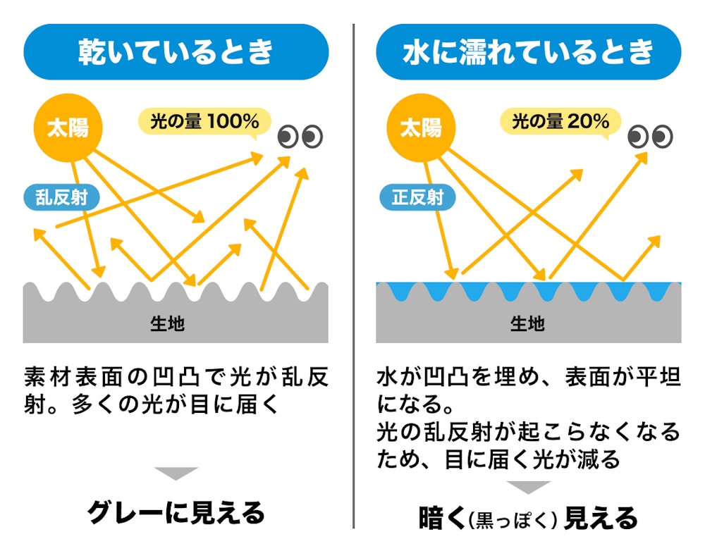 【検証】バカ尾根の頂上で、一番『涼しい顔』をしているのは誰だ?汗染み限界突破チャレンジ!
