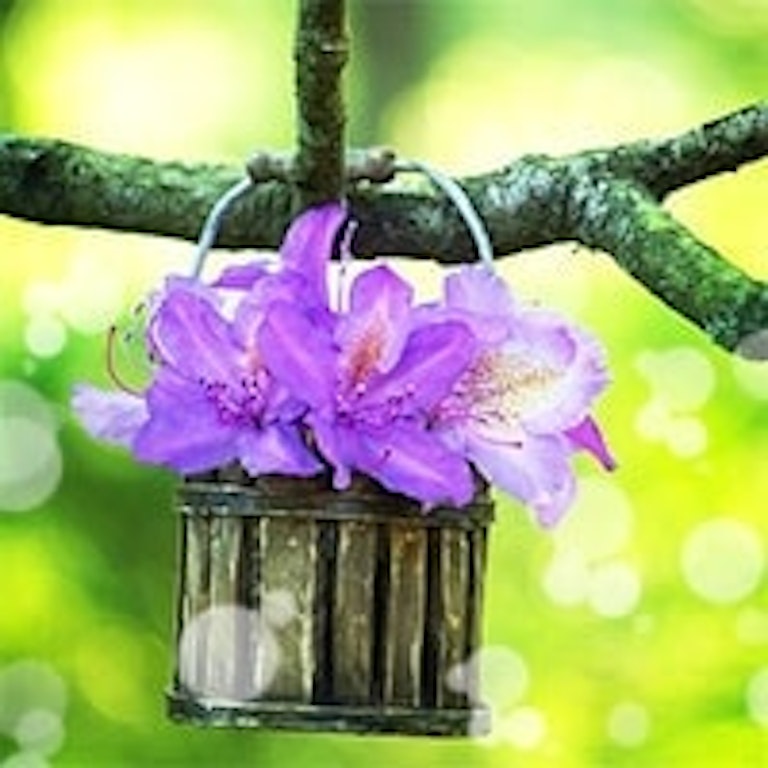 電話占いリエル 早花