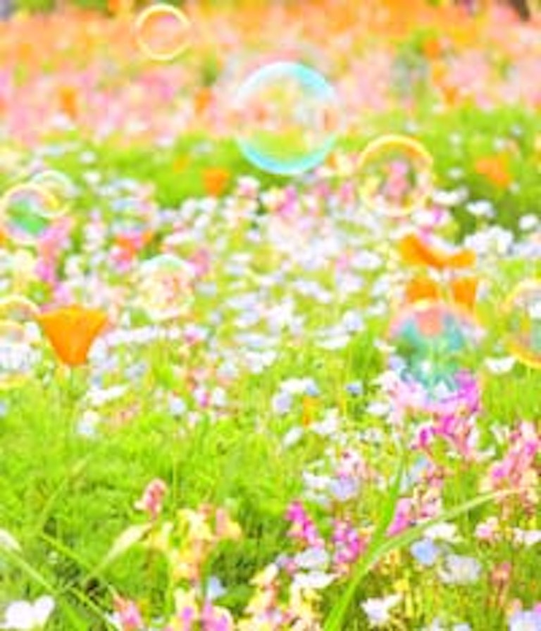 電話占いフィール 暖心