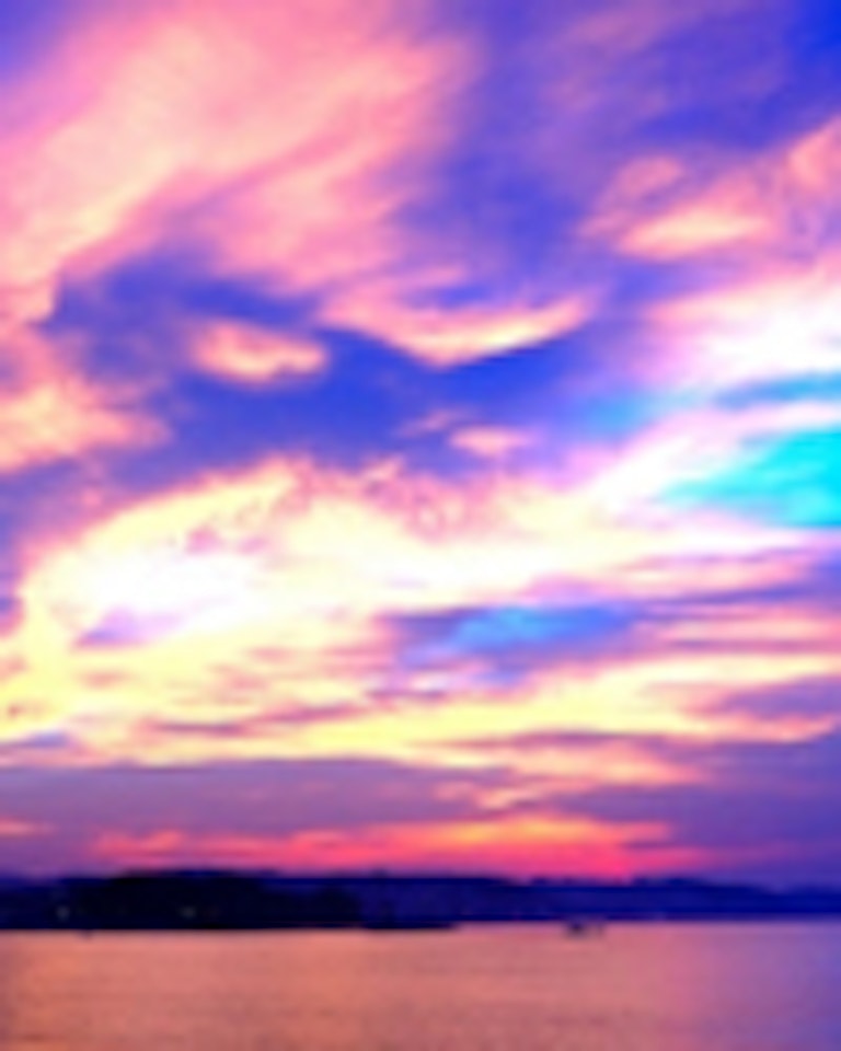 電話占い紫苑（しおん） 蔡雲