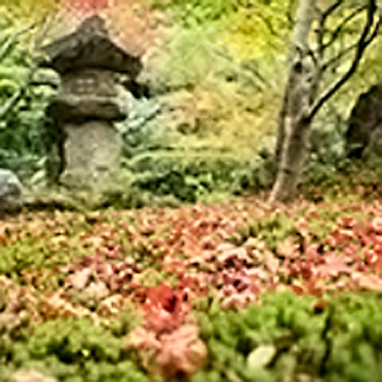 電話占い尼子 玖野弧