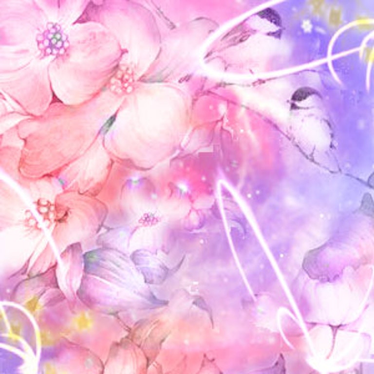 電話占いピュアリ ハナミズキ