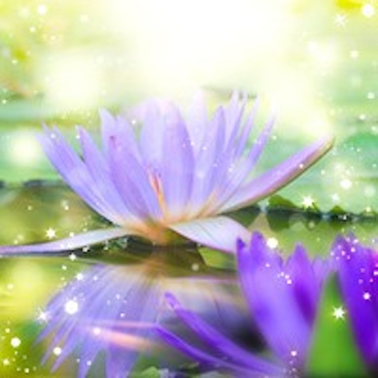 電話占いマヒナ 天界ナユタ