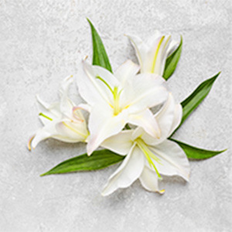 電話占いWish エレナ先生