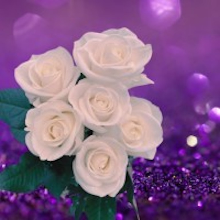 電話占いマヒナ 紫愛先生