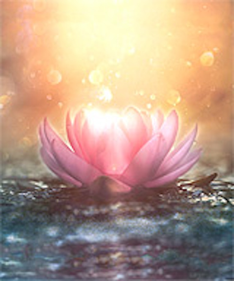 エキサイト電話占い 愛寿湖