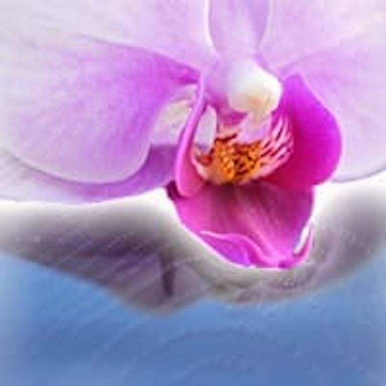 電話占いリエル 宝来衣