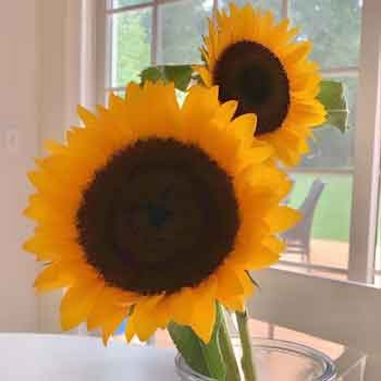 電話占いムゲン 琥珀（コハク）先生