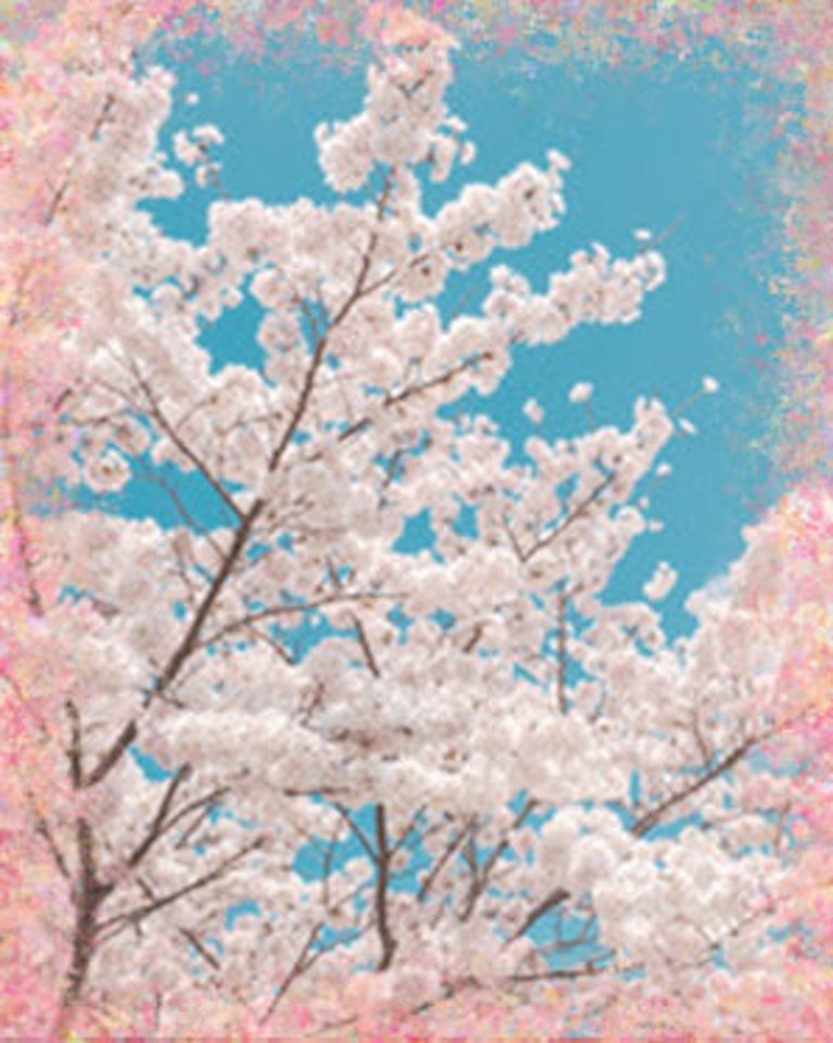 電話占い愛恵 桜木さくら