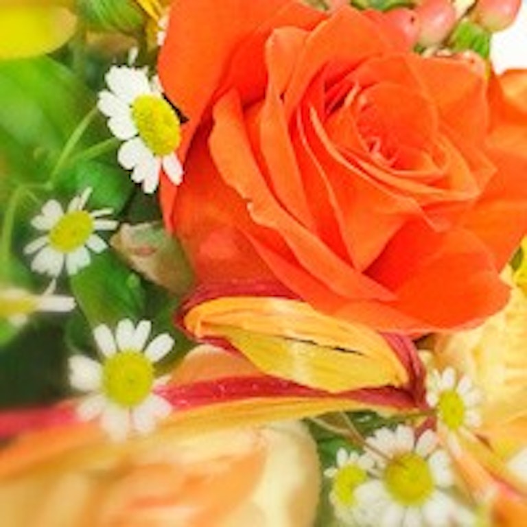 電話占いマヒナ あい