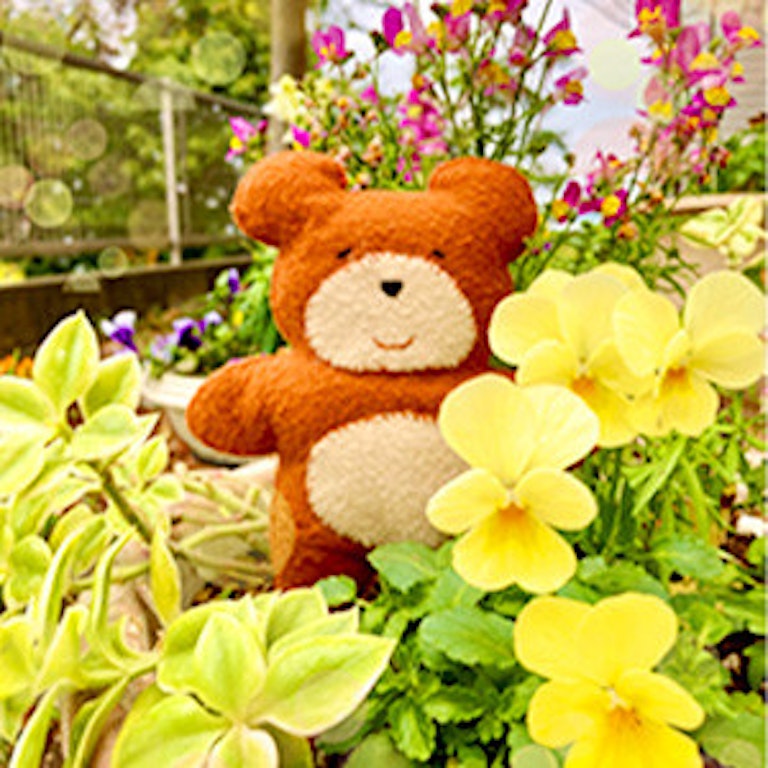 電話占いWish drawing*こぐま先生