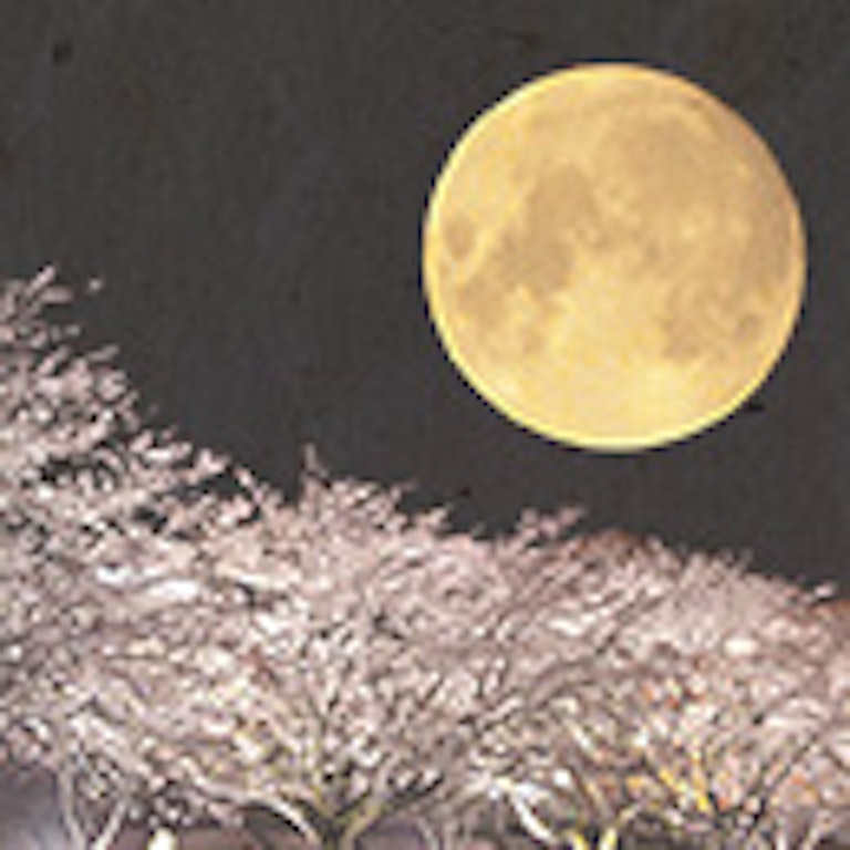 電話占い法蓮 美夜美月