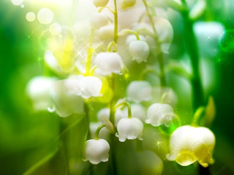 みんなの電話占い セラ先生