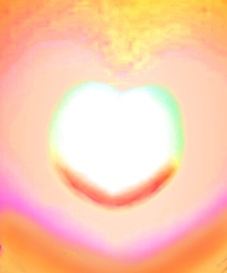 電話占いフィール 樹寿