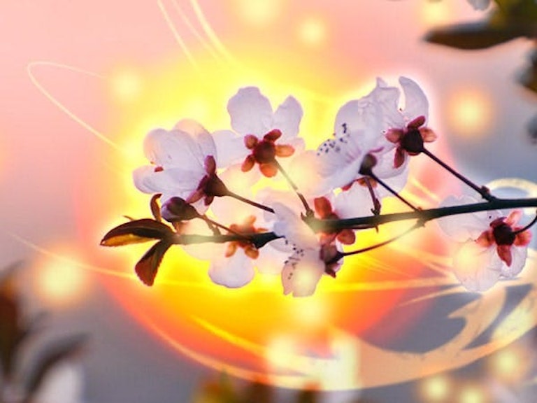 みんなの電話占い 桜川 夕優日