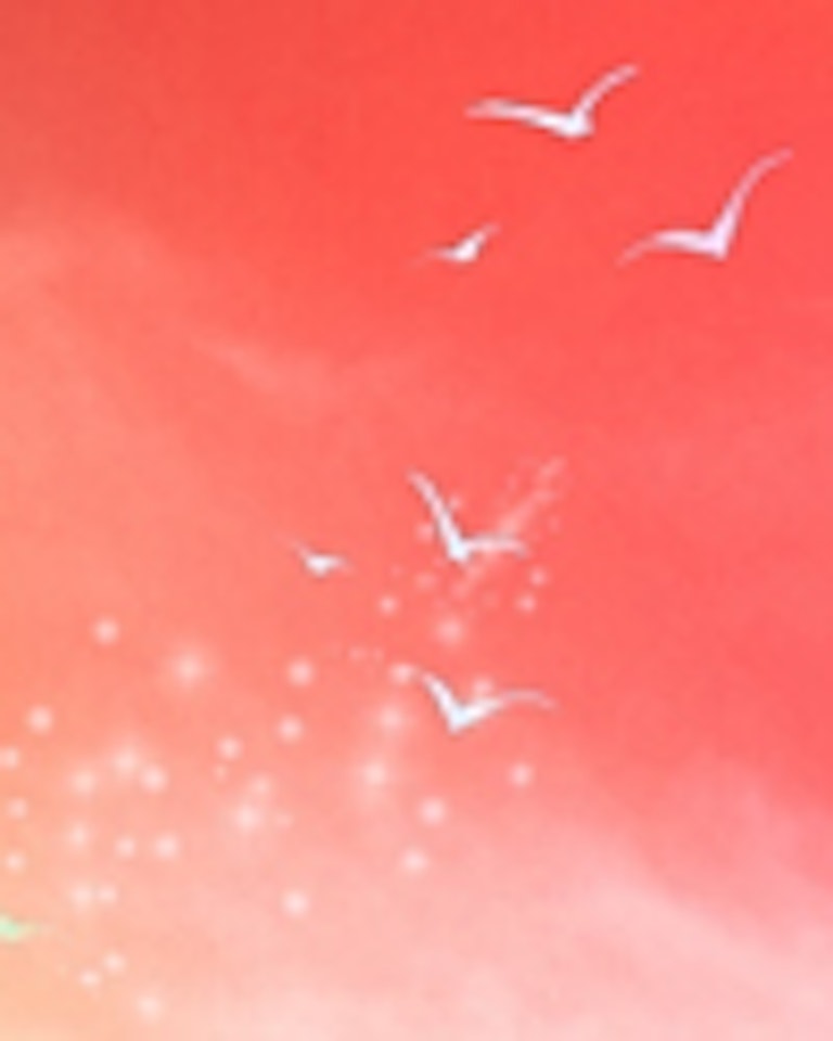 電話占い紫苑（しおん） 朱鳥（あすか）先生