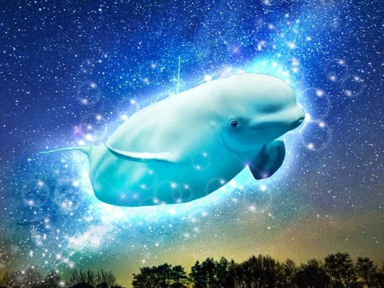 みんなの電話占い 白