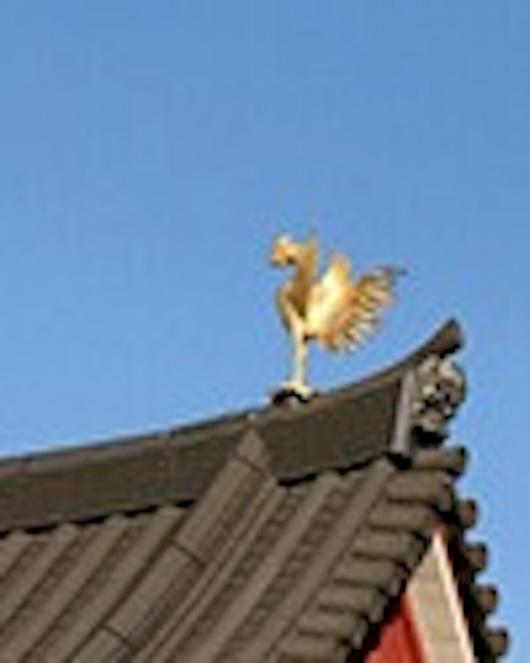 電話占い紫苑（しおん） 朱鳥（あすか）先生