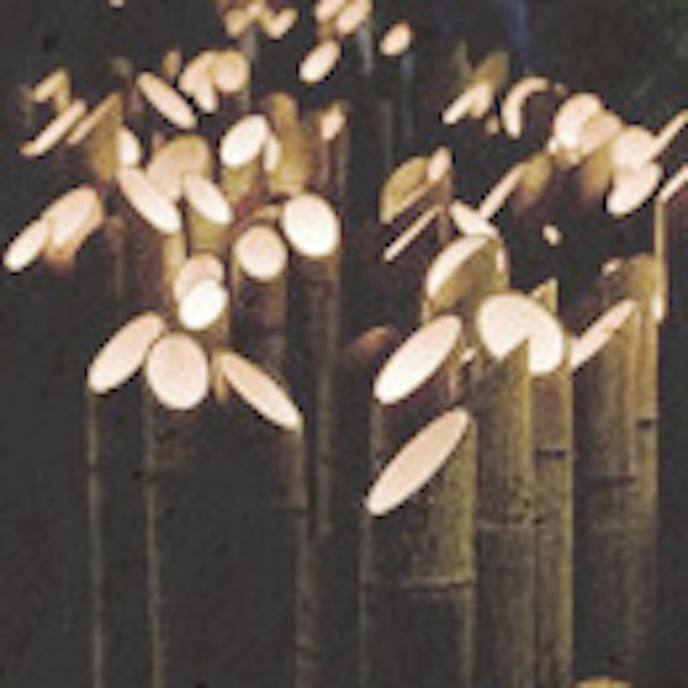 電話占い法蓮 夜麗雫