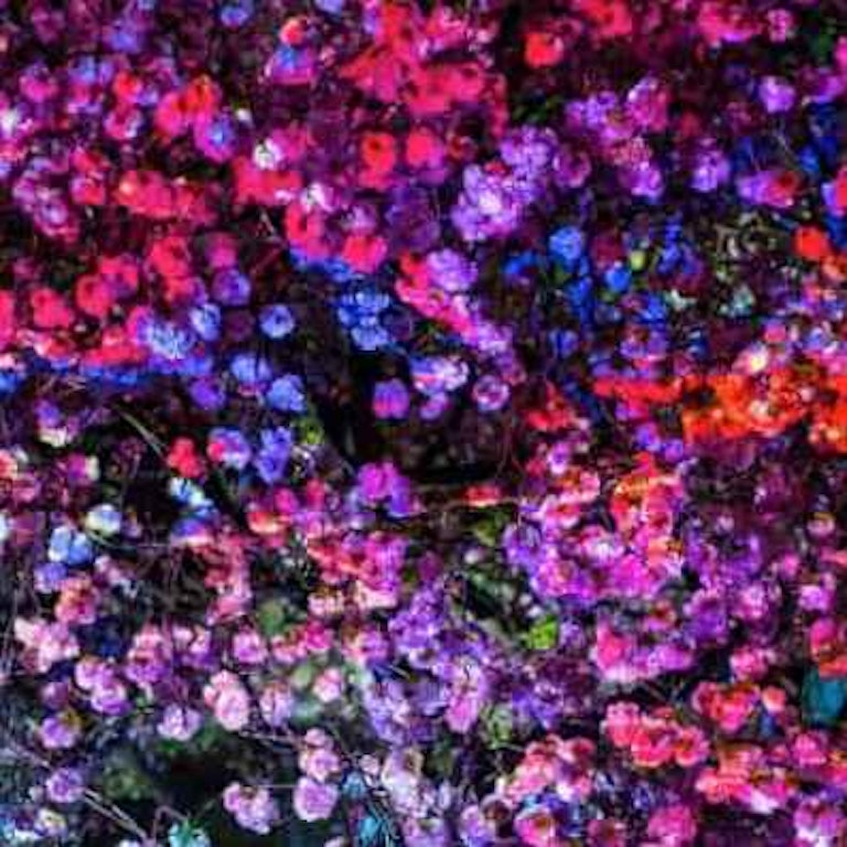 電話占いRAYSEE（レイシー） 紫桜