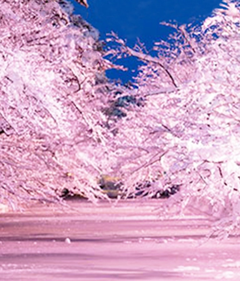 電話占いフェリーチェ 聖子