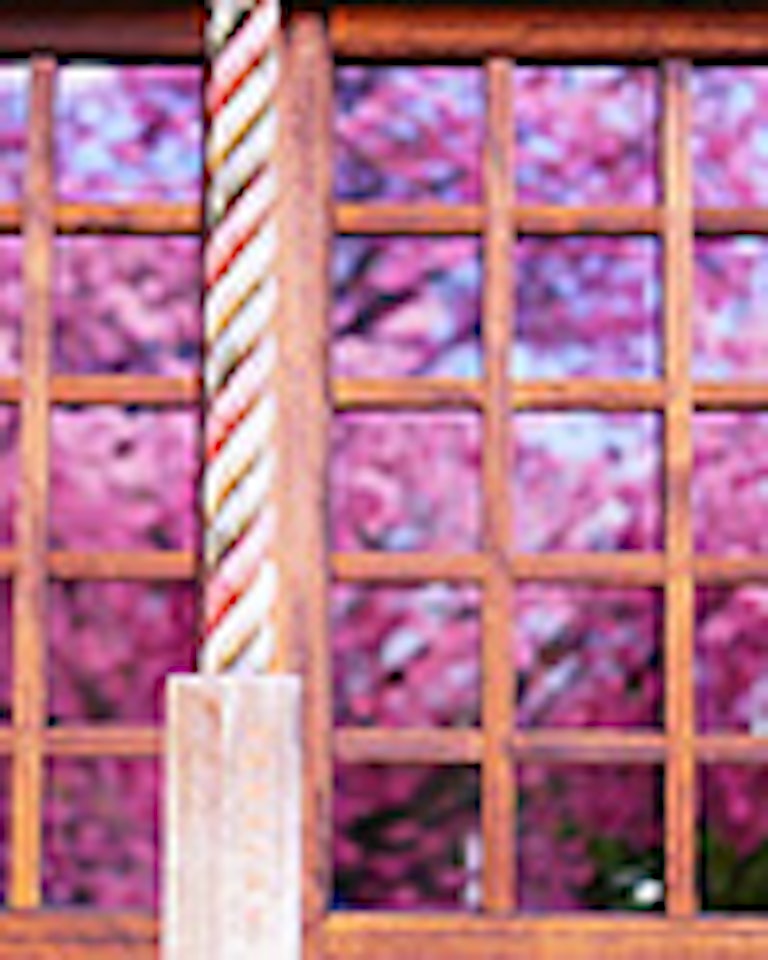 電話占い紫苑（しおん） 花砂子