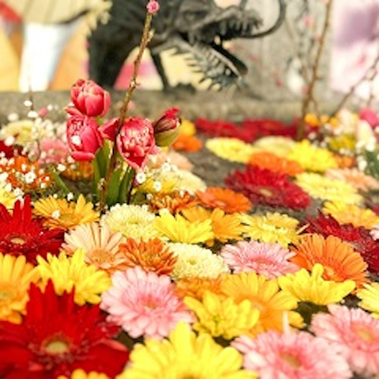 電話占い花菱 甲斐坂 朧