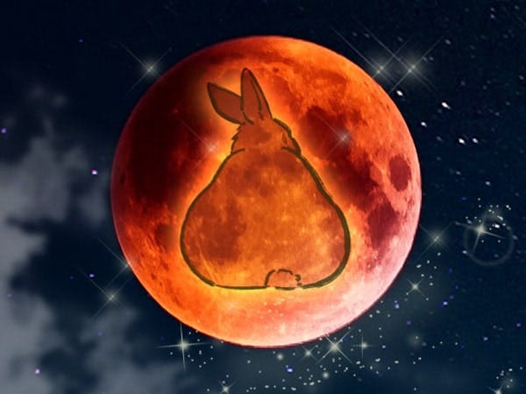 みんなの電話占い うさこ