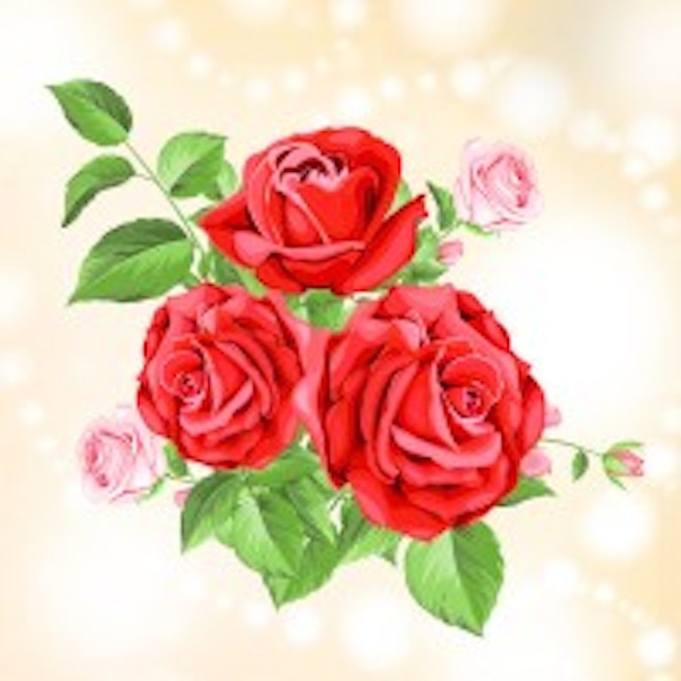 電話占いカリス 美龍