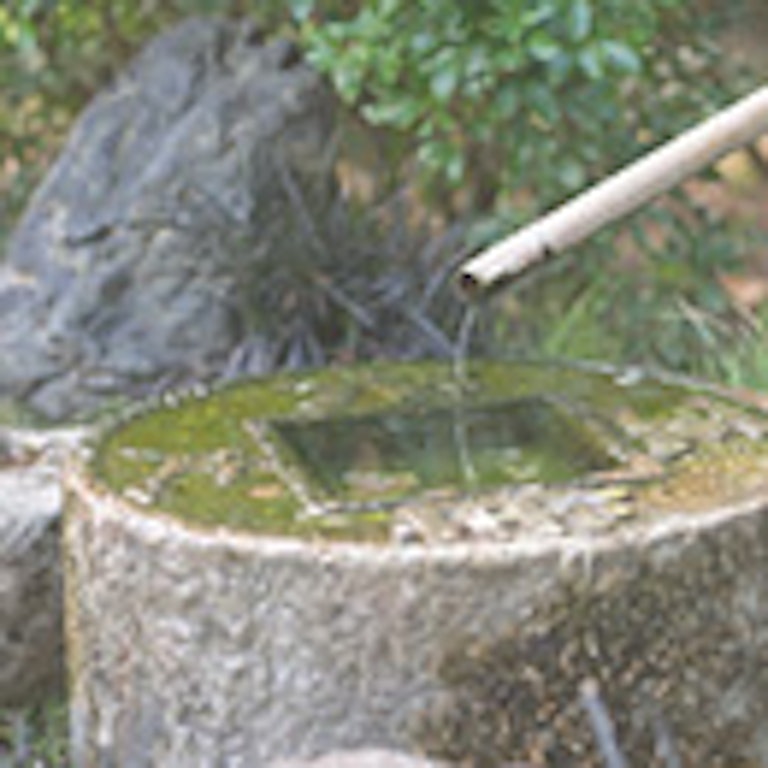 電話占い法蓮 益代