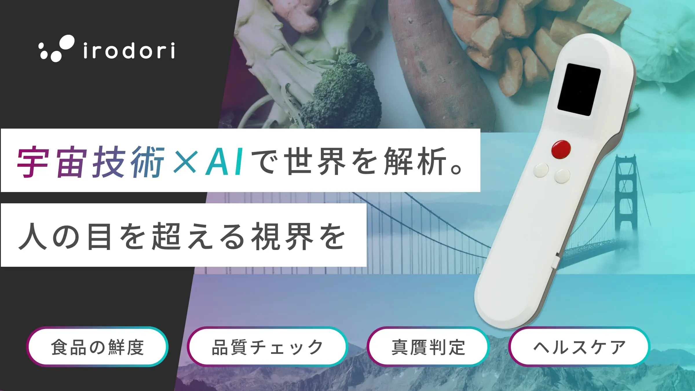 2026年のはじまりに | 新年のご挨拶とお知らせ