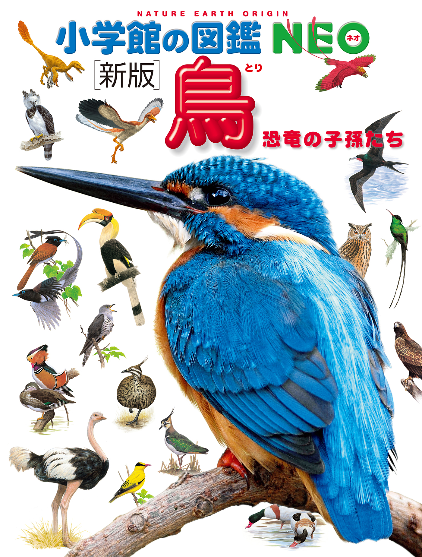 国内最大級無料ウェブ百科事典「コトバンク」、『小学館の図鑑NEO[新版