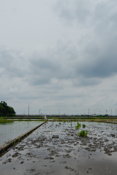 RX1R IIIの作例（F8.0 ・ 1/640秒 ・ ISO100）