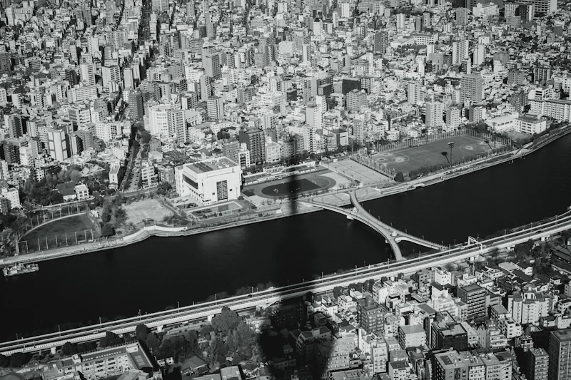 今年はフォトプラン（1TB）にしてみよう