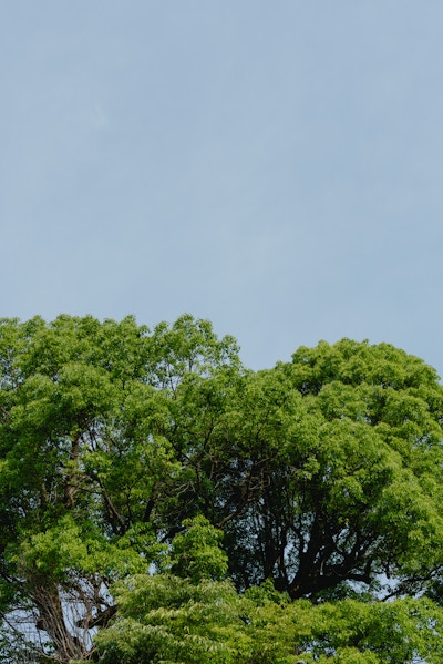 RX1R IIIの作例（F4.5 ・ 1/800秒 ・ ISO100）