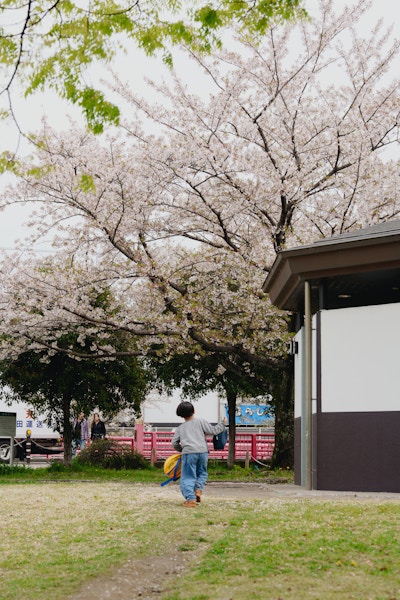 桜の下を走る子ども