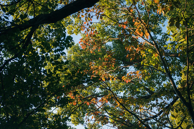 なぜSony RX1R IIIが気になっているか？を整理してみた