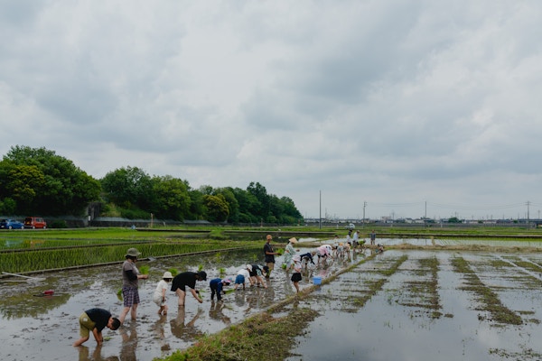 田植えの風景。35mmの広角で空・人・田んぼが一枚に収まる