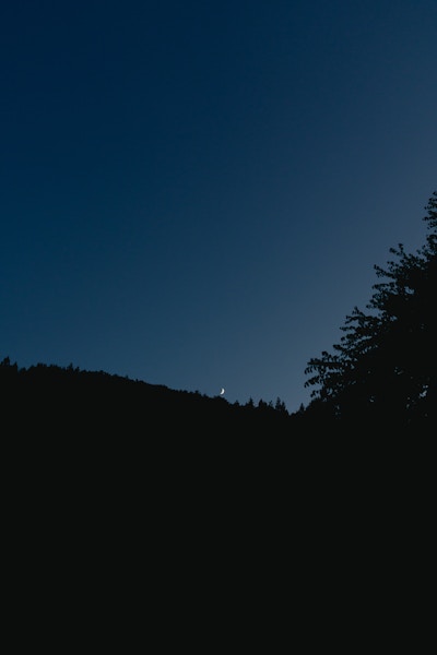 RX1R IIIの作例（F4.0 ・ 1/250秒 ・ ISO800）