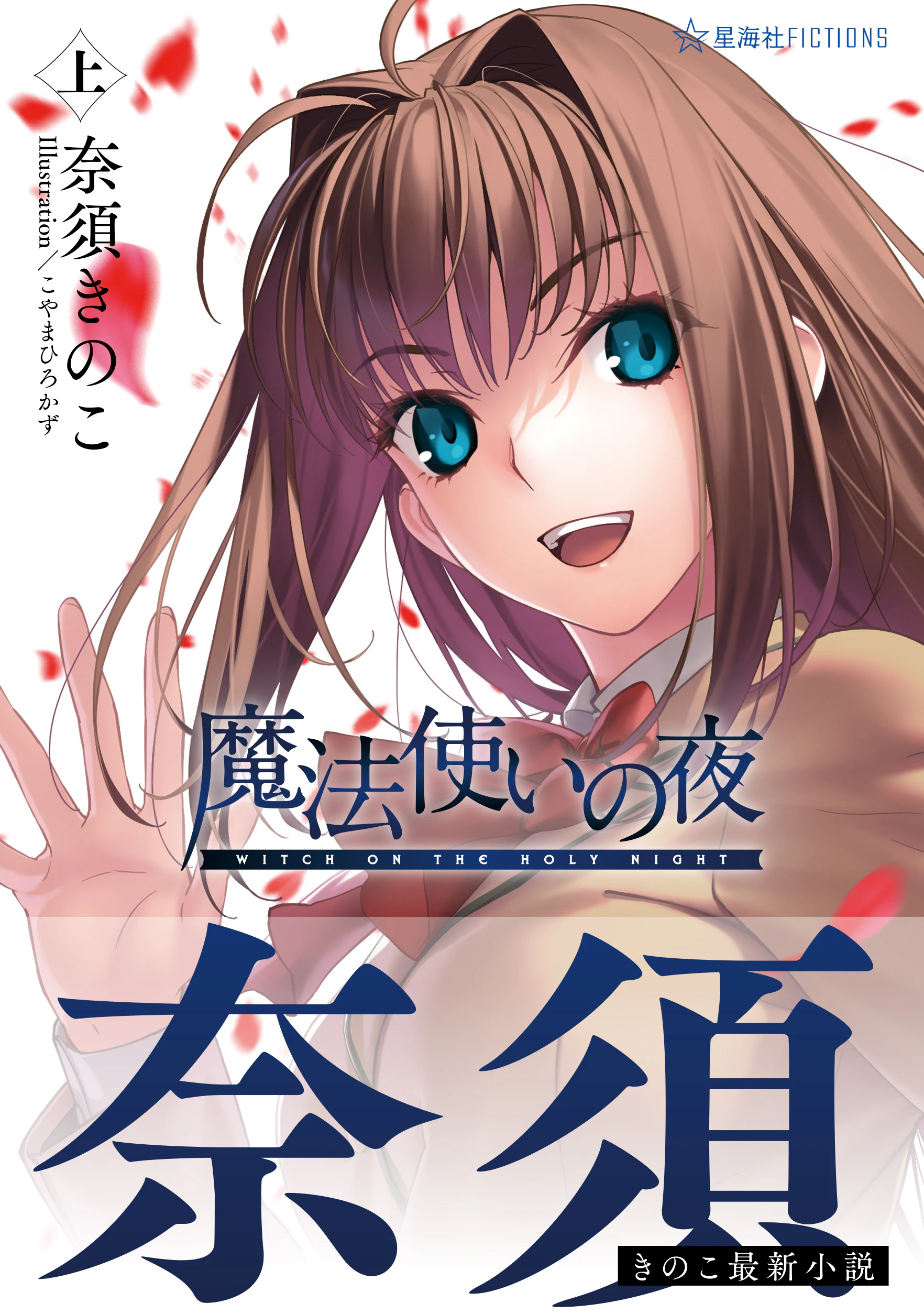 魔法使いの夜 上