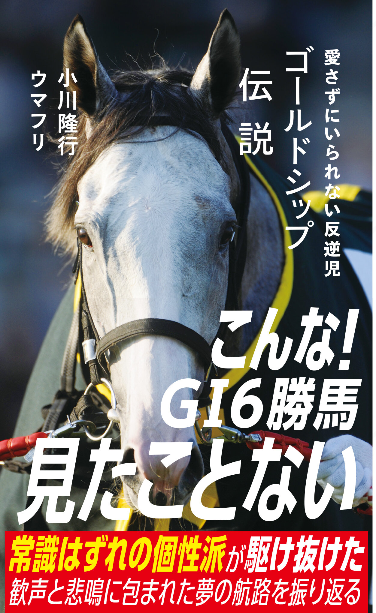 ゴールドシップ伝説 愛さずにいられない反逆児 | 星海社
