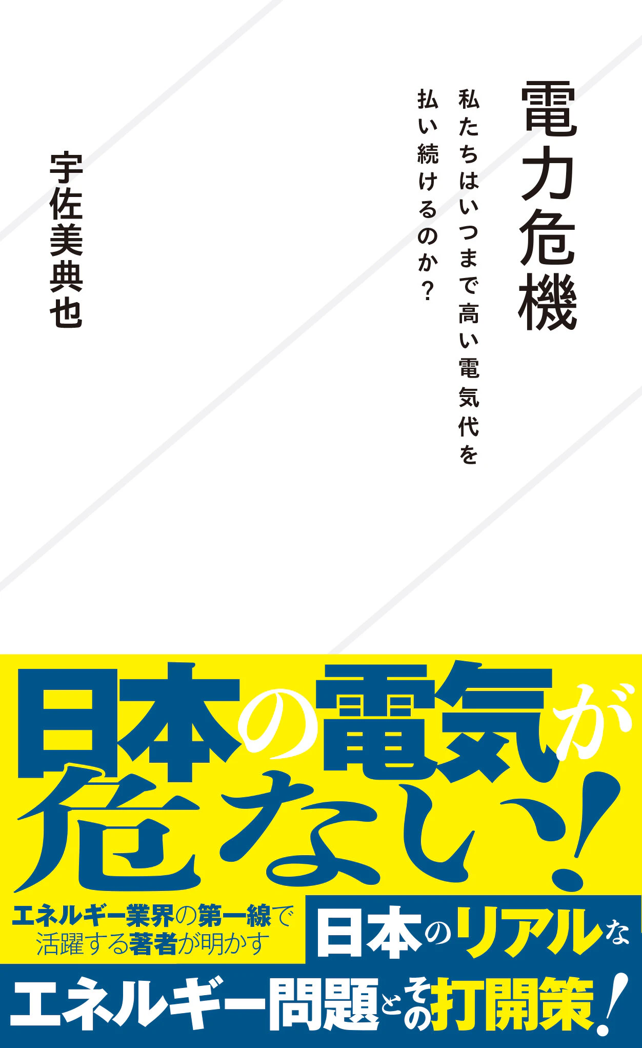 電力危機 私たちはいつまで高い電気代を払い続けるのか?