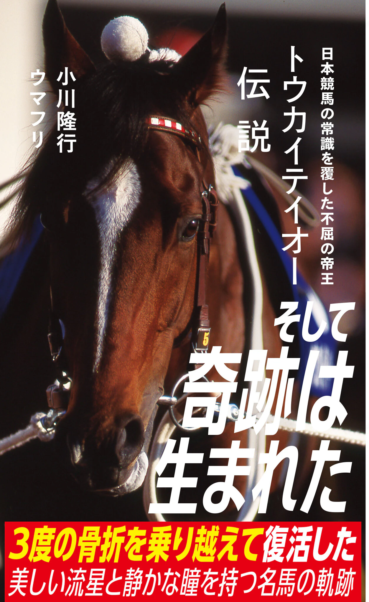 トウカイテイオー伝説 日本競馬の常識を覆した不屈の帝王
