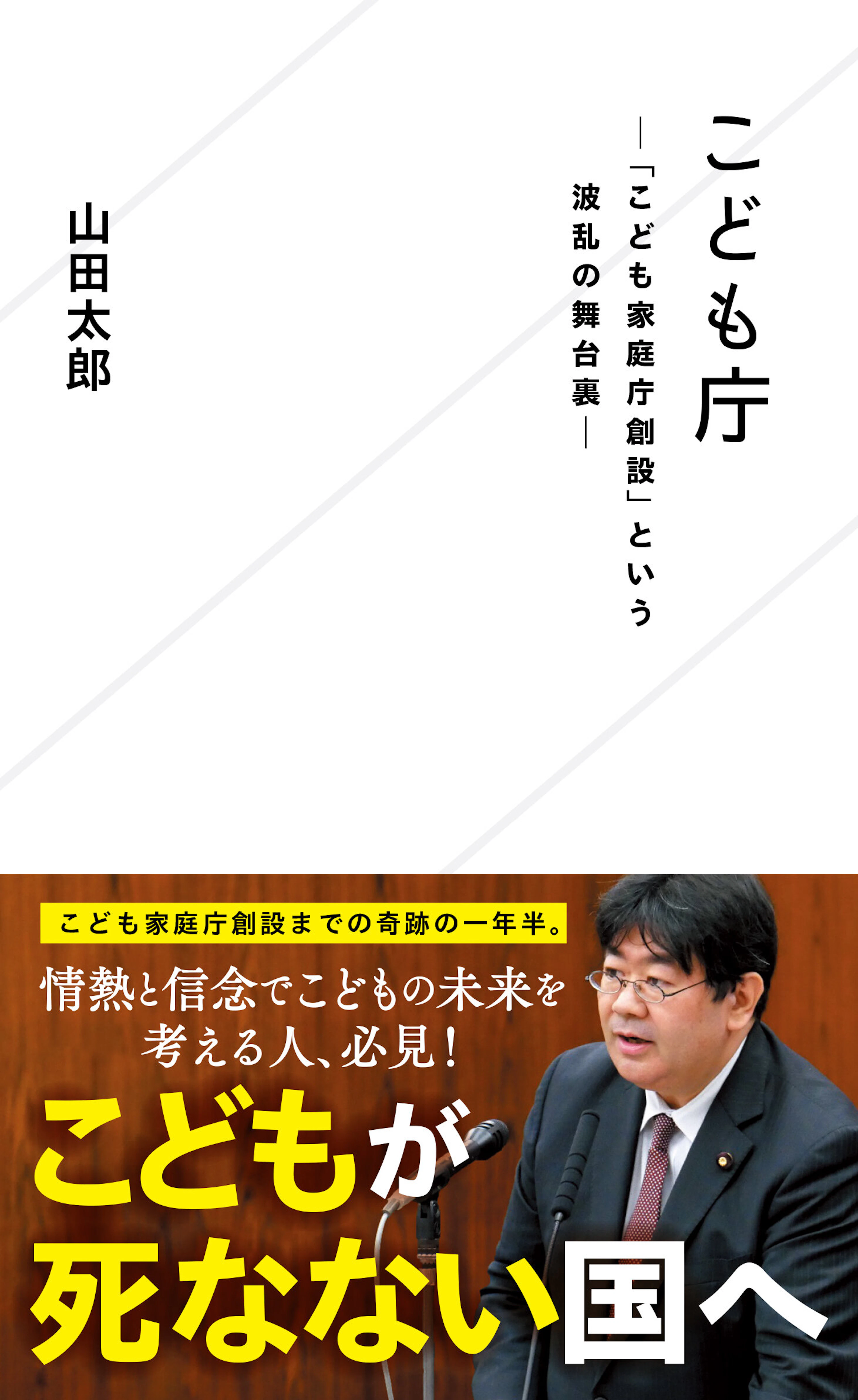 こども庁―「こども家庭庁創設」という波乱の舞台裏―