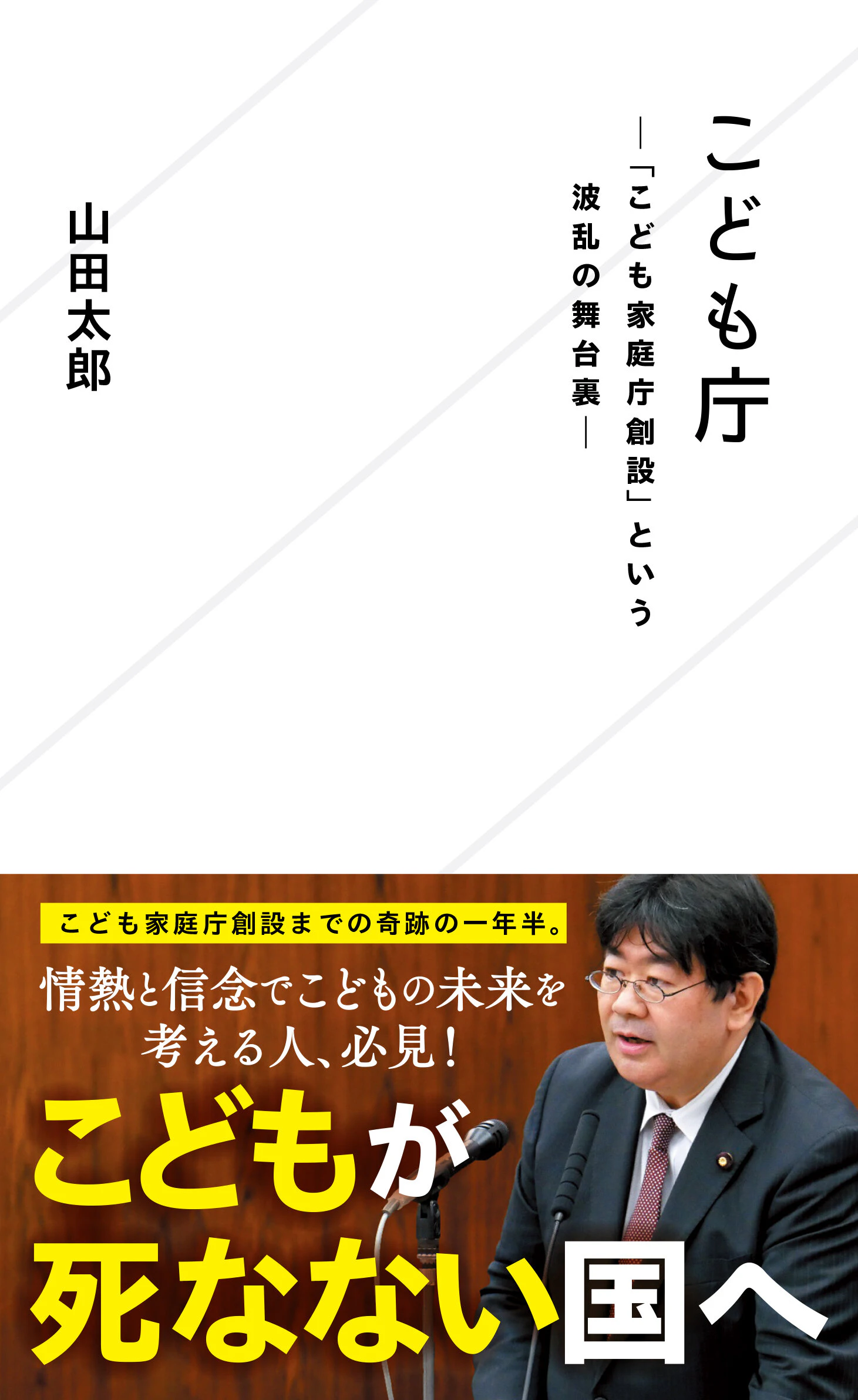 こども庁―「こども家庭庁創設」という波乱の舞台裏―