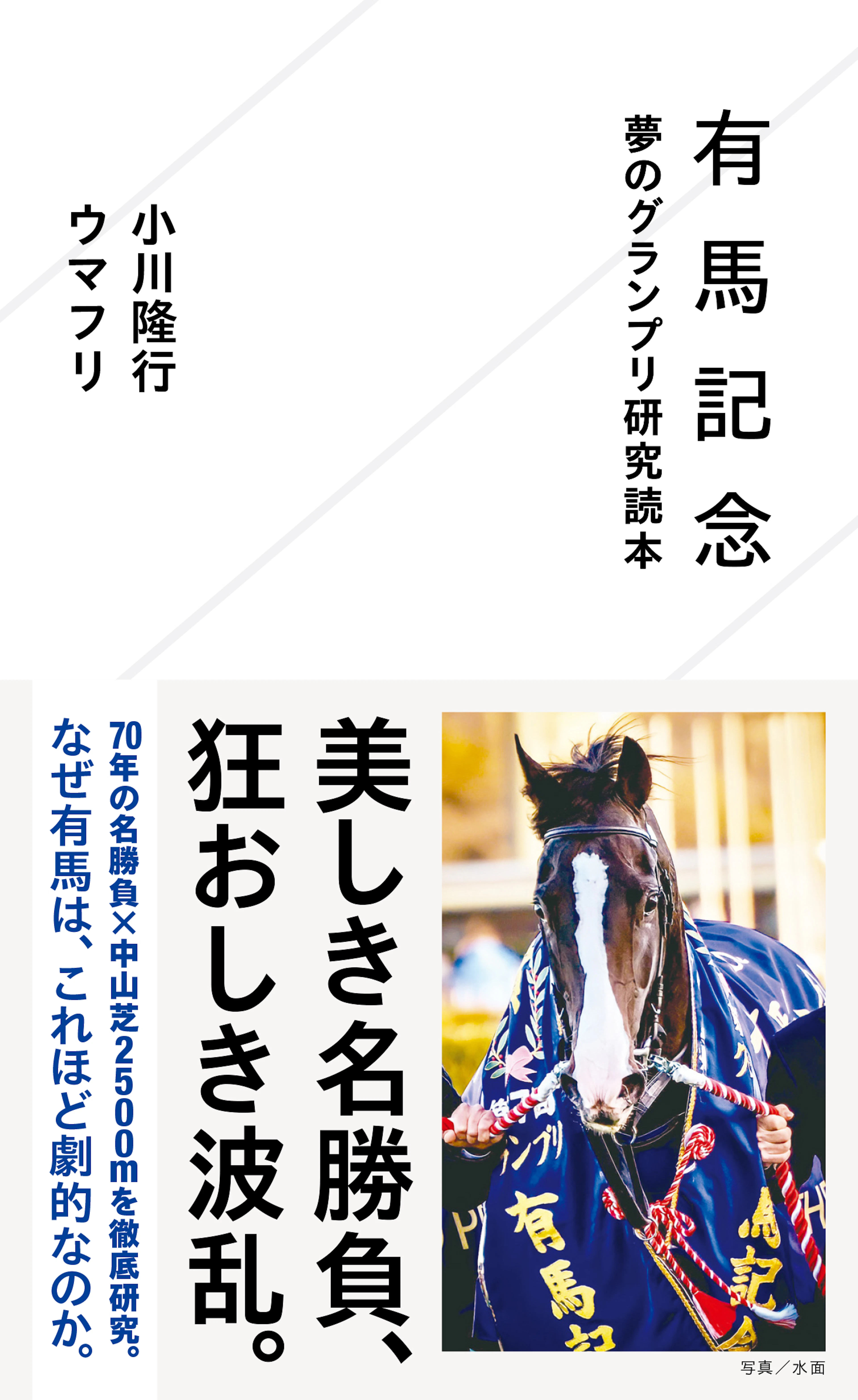 有馬記念　夢のグランプリ研究読本