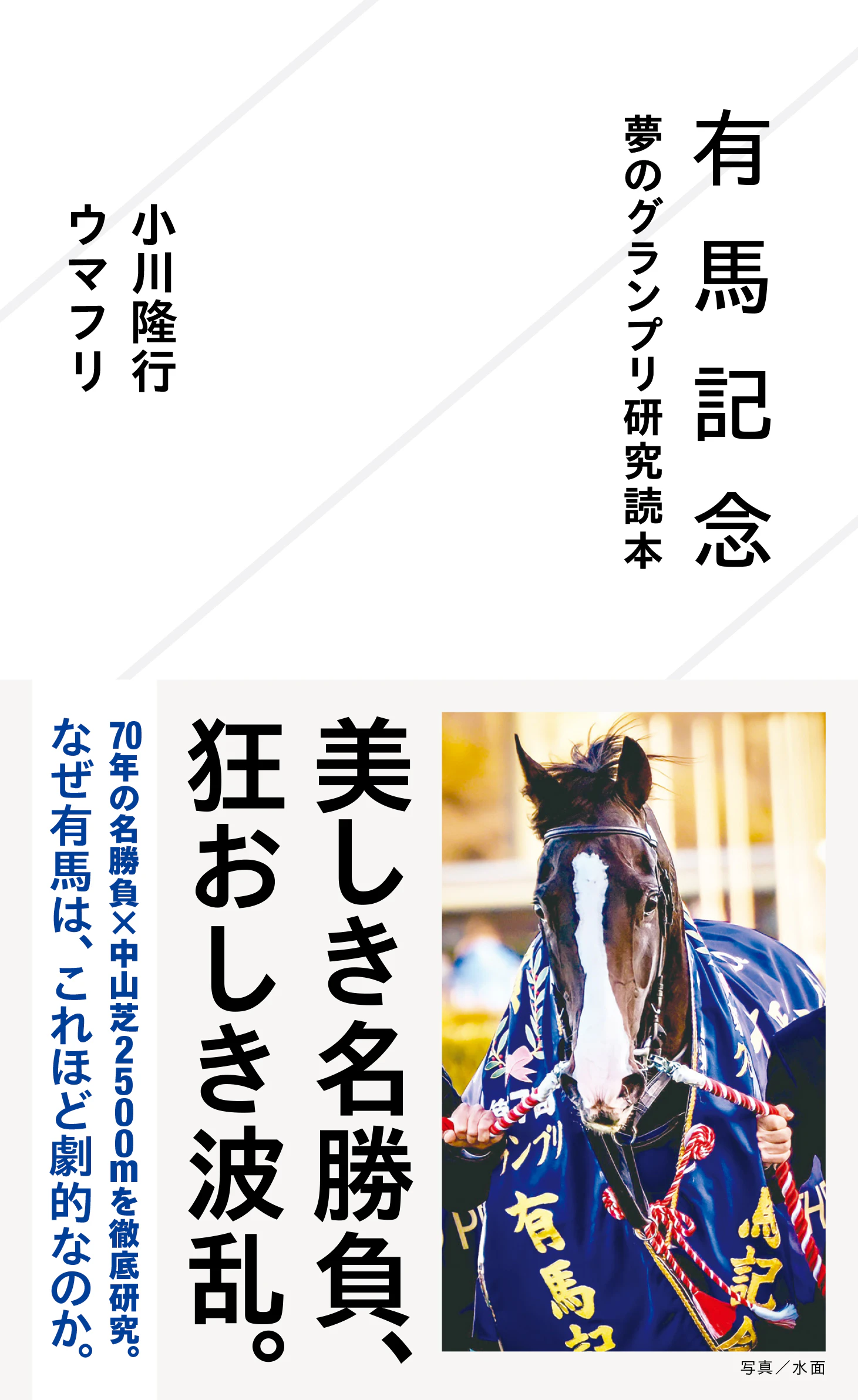 有馬記念 夢のグランプリ研究読本