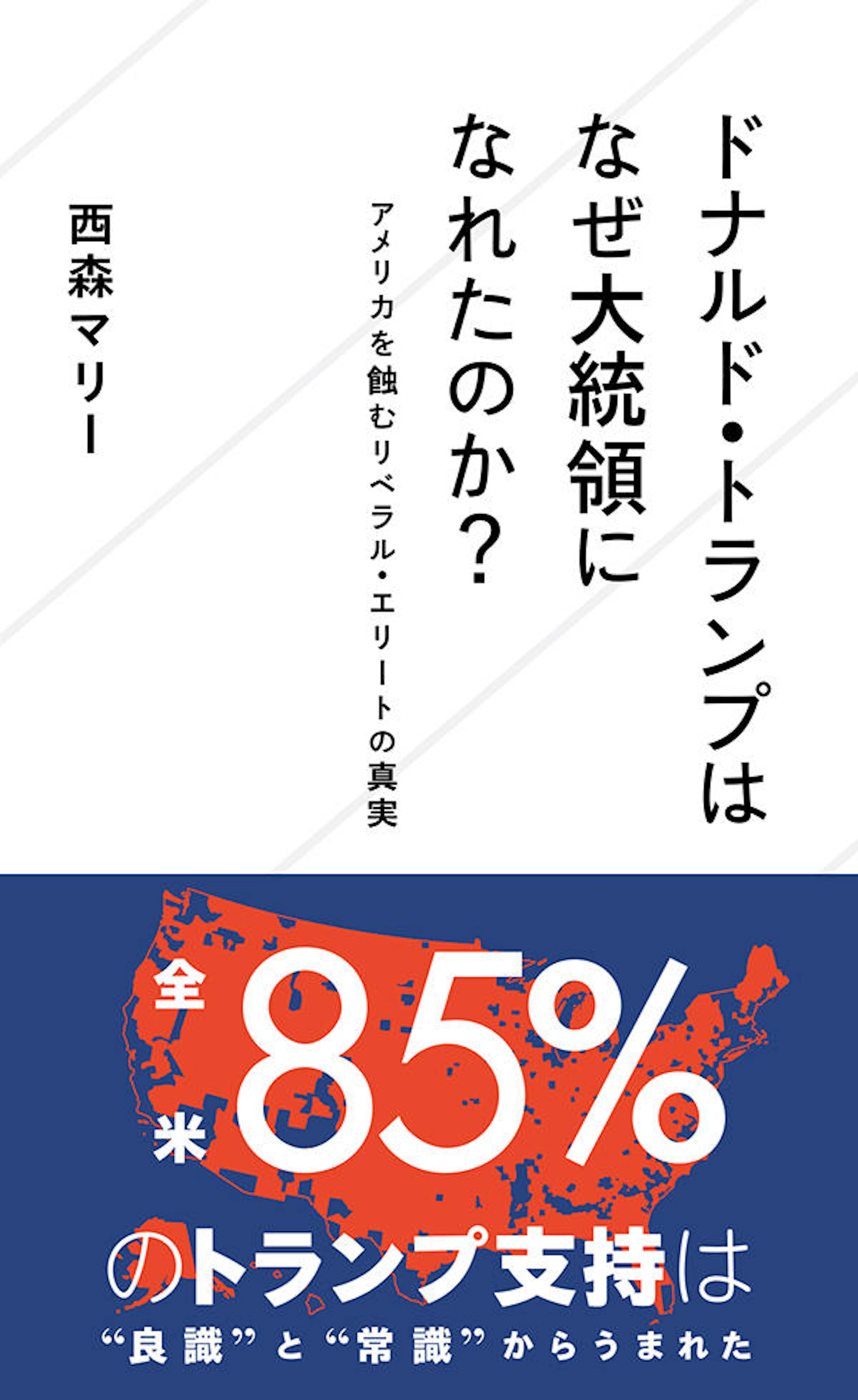 ドナルド・トランプはなぜ大統領になれたのか？　アメリカを蝕むリベラル・エリートの真実