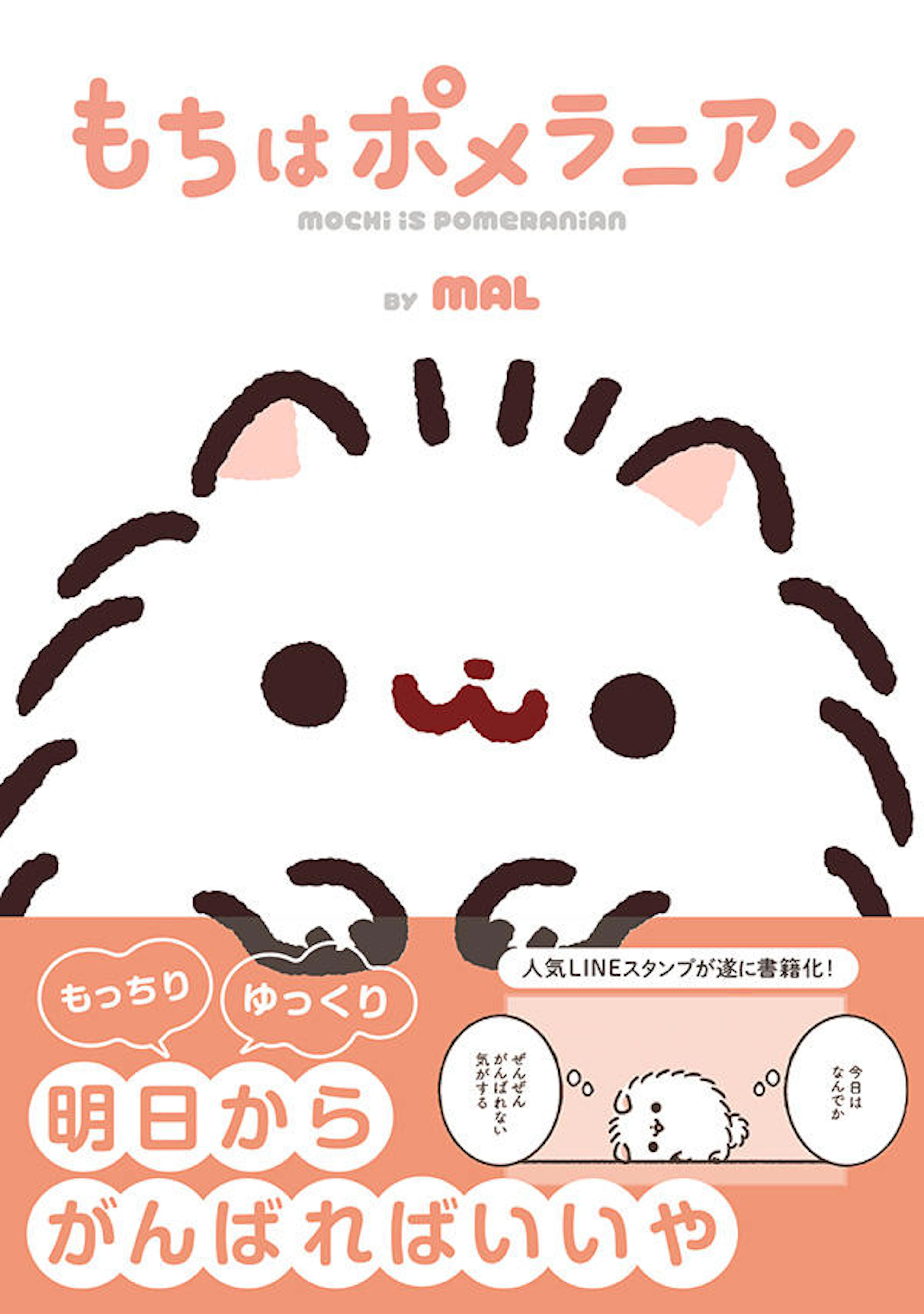 もちはポメラニアン